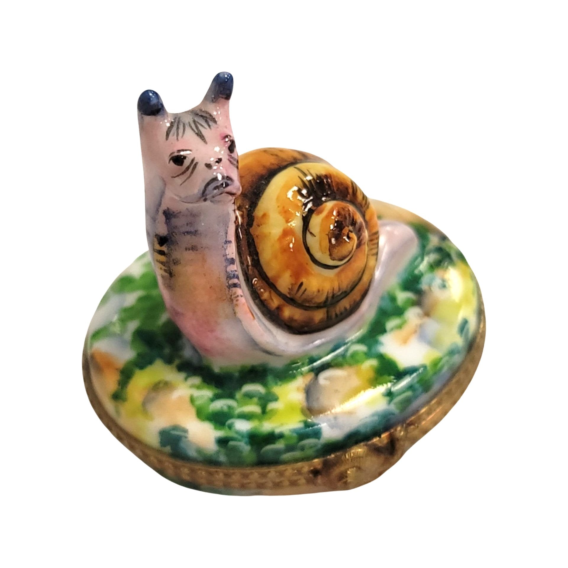 Escargot Snail