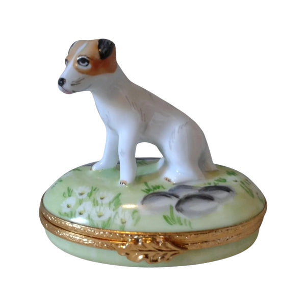 Jack Russell Terrier Dog Artoria Limoges Box Porcelain Figurine