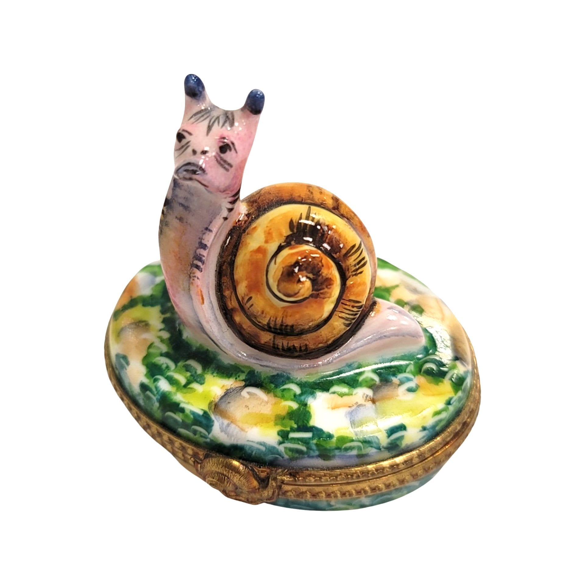 Escargot Snail