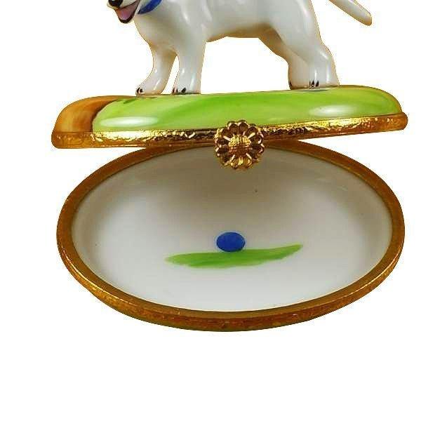 Bull Terrier Dog — {{ shop }}